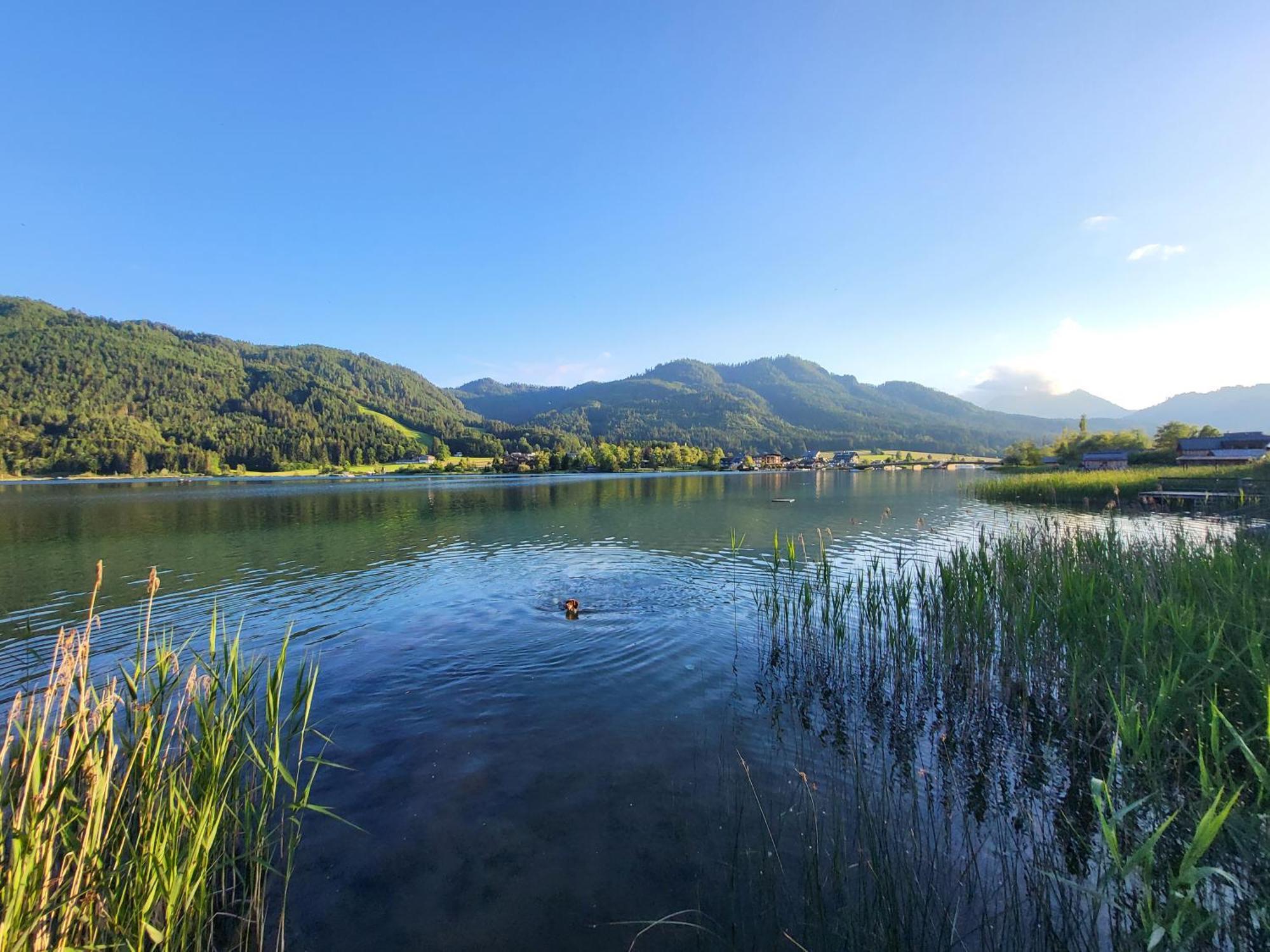 Haus Lackner Am Weissensee In Kaernten Exteriér fotografie